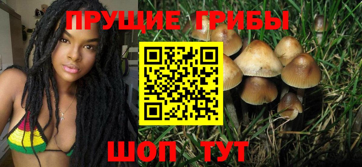 Псилоцибиновые грибы Psilocybine cubensis Рузаевка
